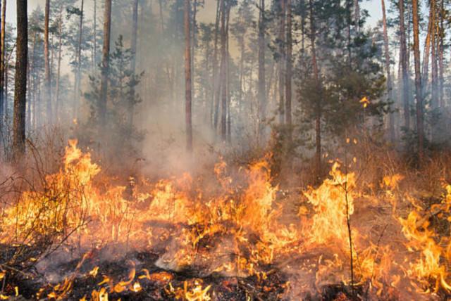 Imagen ADELPA alerta del alto riesgo de fuegos incontrolables en el Pirineo aragonés
