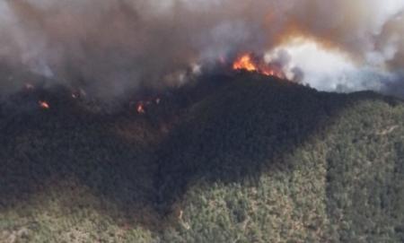 Imagen ADELPA muestra su solidaridad con los pueblos por los incendios y...